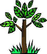 drawing of a tree with branches